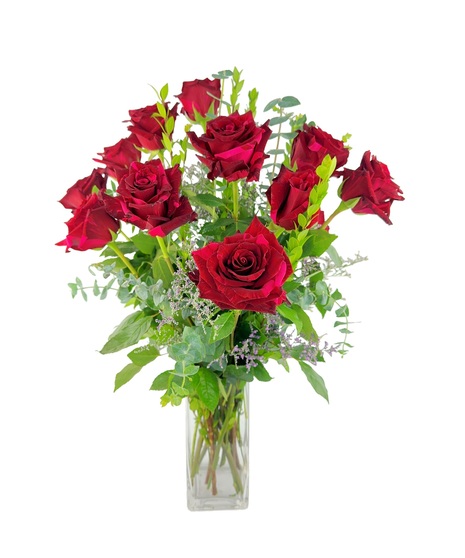 Premium Panther Roses