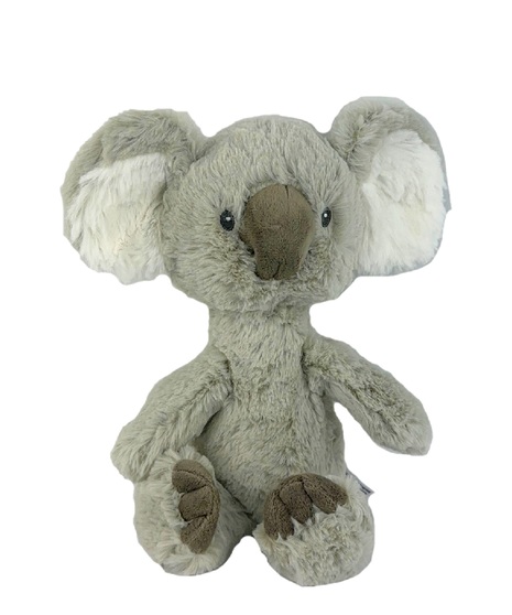Shay the Koala