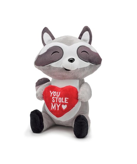 You Stole My Heart Raccoon