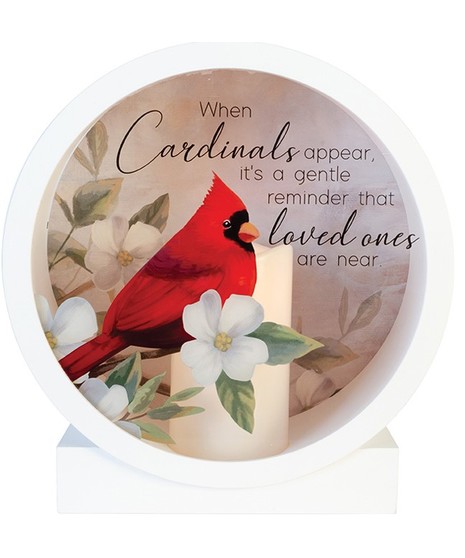 Shadow Box-Cardinals
