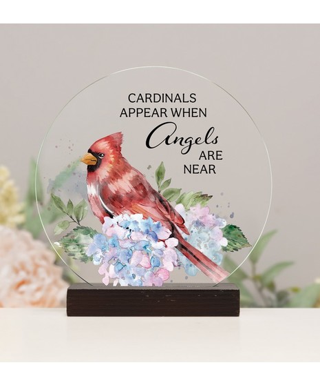 Cardinals Appear-Sitter