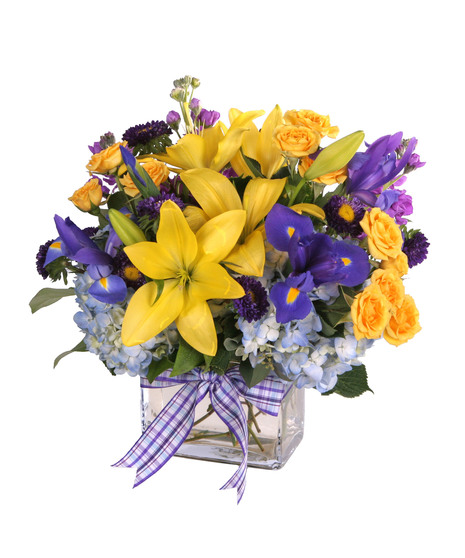 Bright yellow, purple and blue in a cube arrangement. 