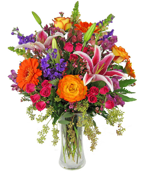 Tall, showy mix in bright assorted colors including purple and orange.  