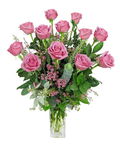 Lavender Roses