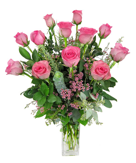 Pink Roses