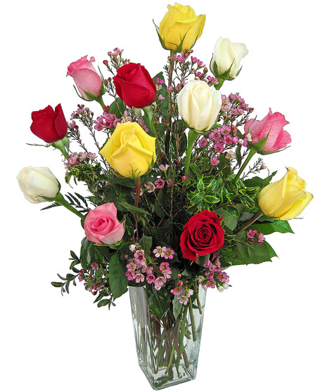 Multi Color Dozen Roses
