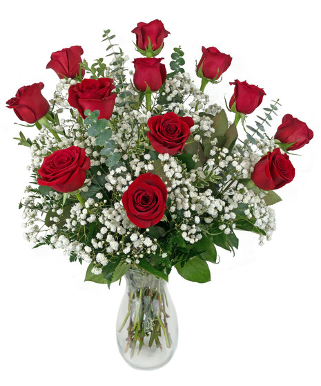 Classic Dozen Roses - with Babies Breath