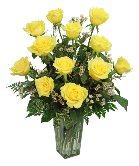 Yellow Roses