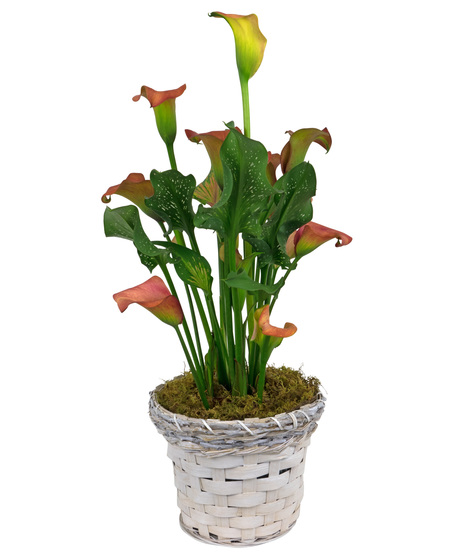 Calla Lily Basket