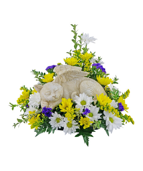 Faithful Companion
