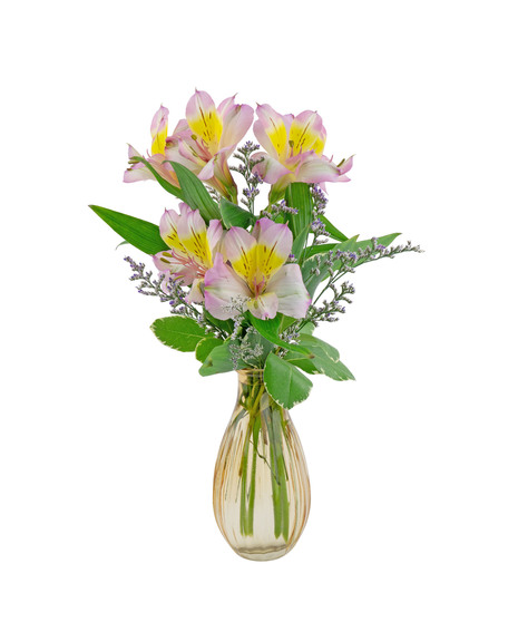 Sweet thoughtful gift, choose gerbers, spray roses or alstroemeria..