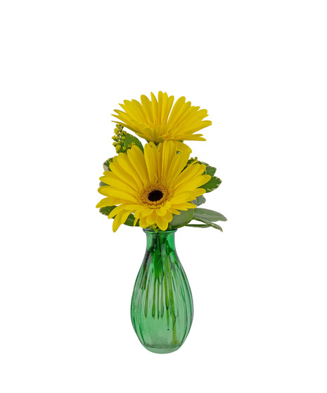 Sweet thoughtful gift, choose gerbers, spray roses or alstroemeria..