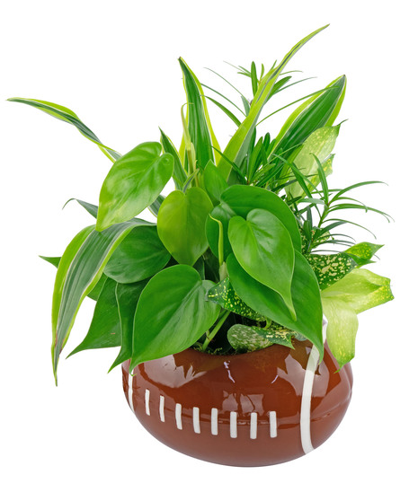 Football Planter