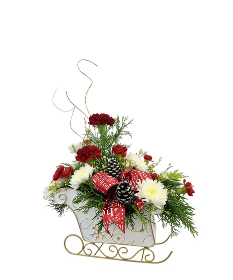 Cushion pomps and red carnations in a white sleigh with ribbon and pinecones.