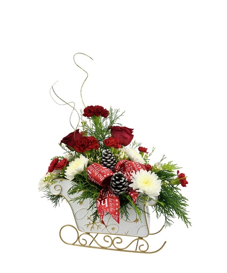 Cushion pomps and red carnations in a white sleigh with ribbon and pinecones.