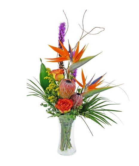 Soulmate - Tropical Beauty