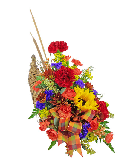 Cornucopia
