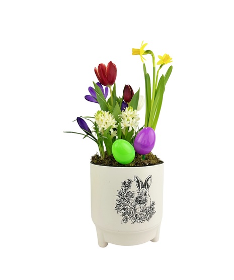 Bunny Bulb Garden