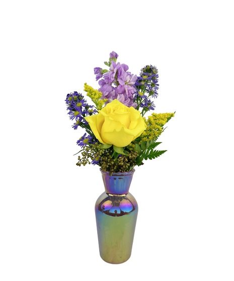 Pick from green, pink or purple vase