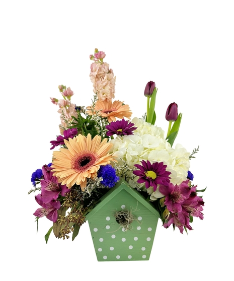 Available in pink, green or yellow birdhouse.