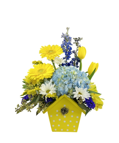 Available in pink, green or yellow birdhouse.