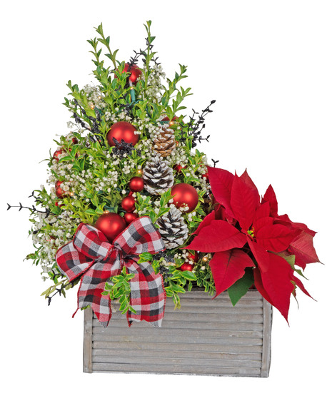 Holiday Merriment
