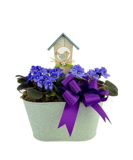 Double blooming plants in a cute tin with a birdhouse pick.