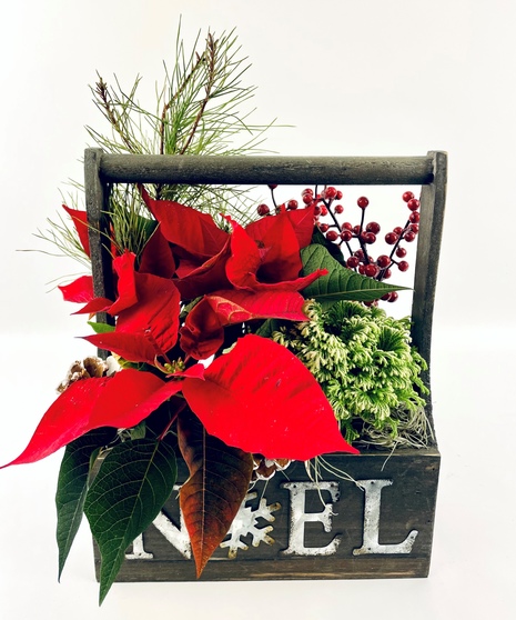 Noel Garden