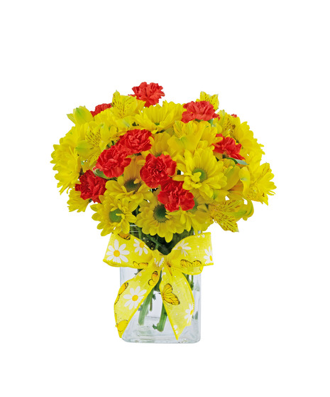 Cute as can be, white and yellow, yellow and orange, or lavender and pink, choose your favorite.