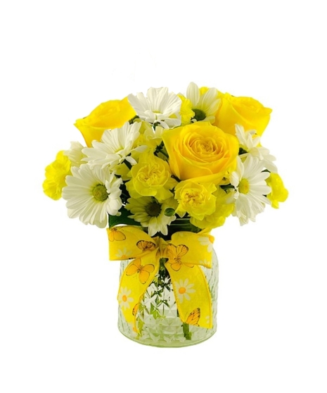 Daisy Delight