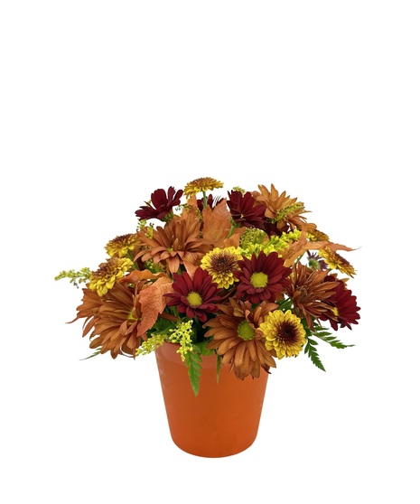 Autumn Delight