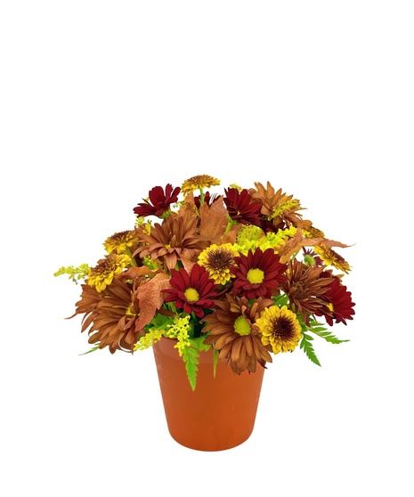 Autumn Delight