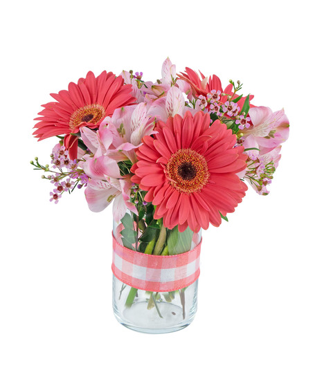 Coral Bliss is made with gerber daisies, alstromeria and waxflower.