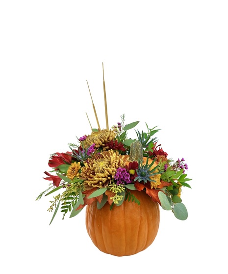 Harvest Pumpkin (Fresh)