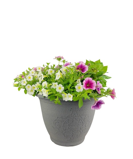 Mixed Patio Pot