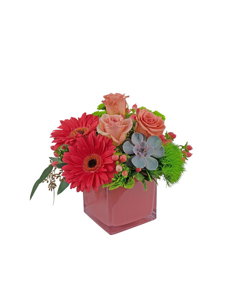 Coral and green make a striking combination in this bouquet. 