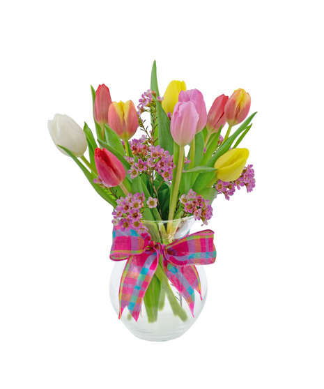 Splash of Spring Tulips