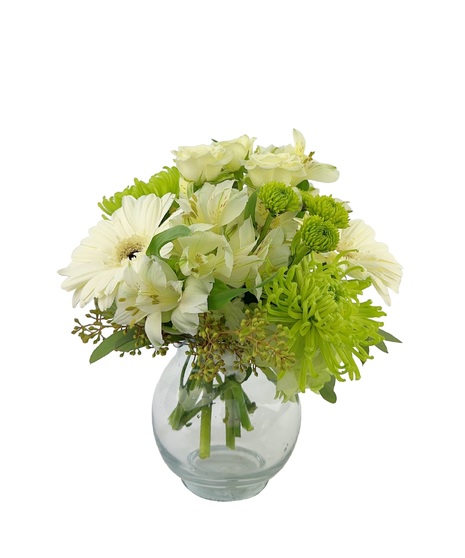 Sympathy & Funeral