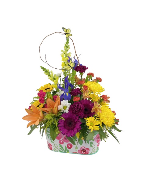 All the vibrant colors of summer perfect for a little pick me up.