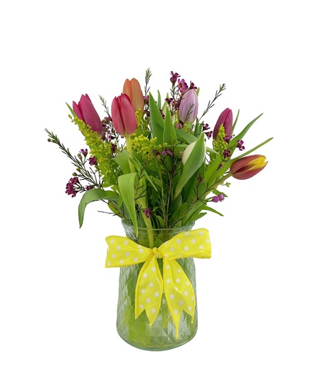 Tiptoe Tulips