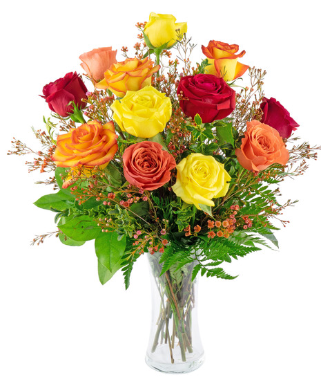 Autumn Medley Roses