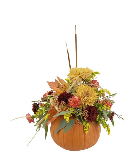 Pumpkin Patch/Fresh