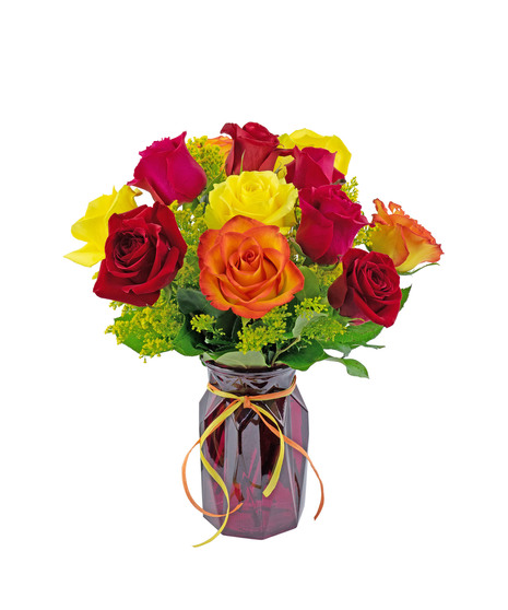 Autumn Roses