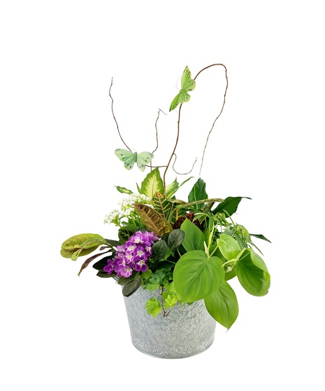 Green and Blooming