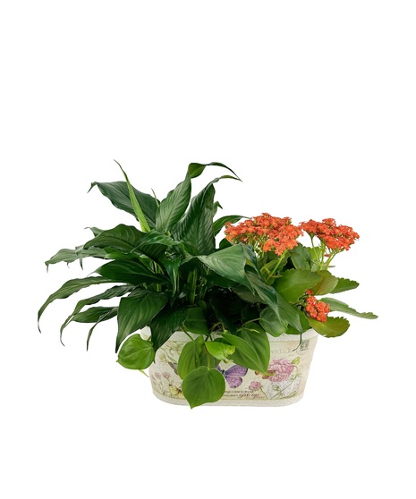 Green and Blooming