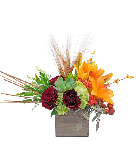 Essence of Fall