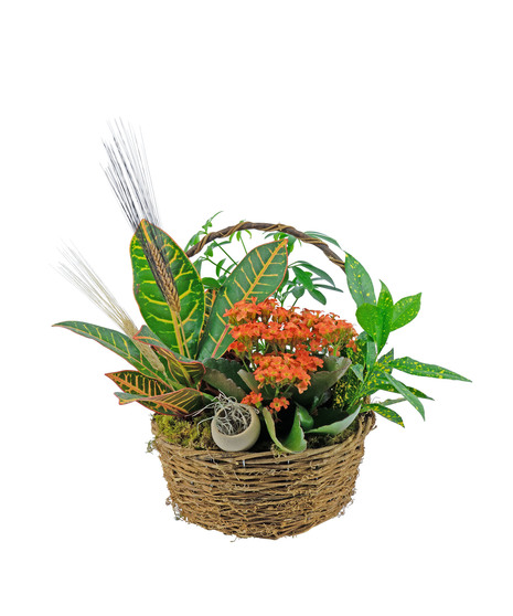 Color-Fall Basket