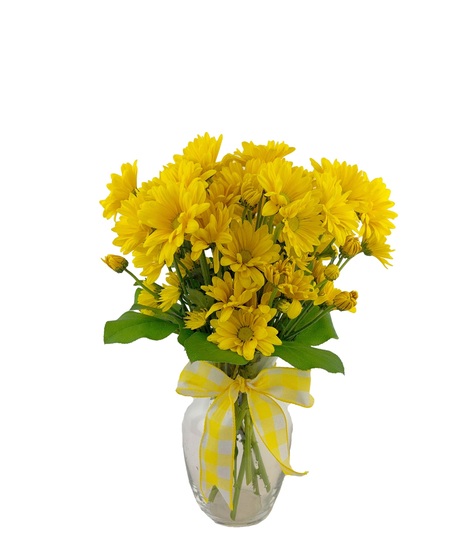 Yellow or white daisies in a vased arrangement.