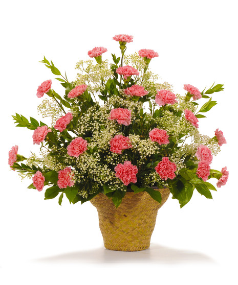 Cherish - Carnation Arrangement