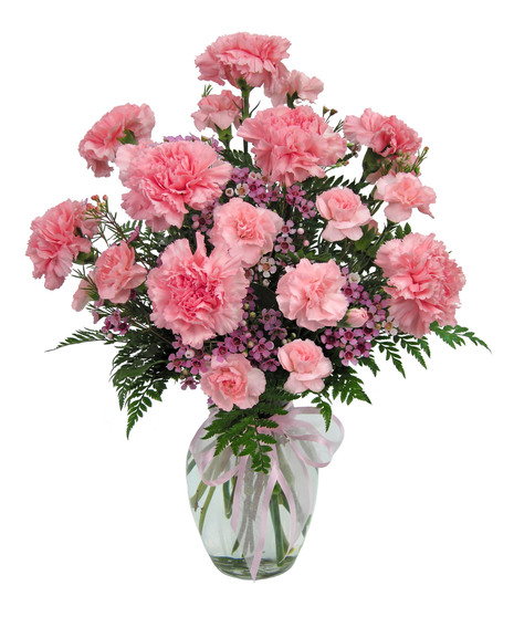Cherish - Carnation Vased Bouquet